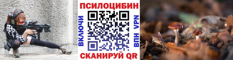 МЕГА как зайти  Слюдянка  Псилоцибиновые грибы Psilocybine cubensis  цена  